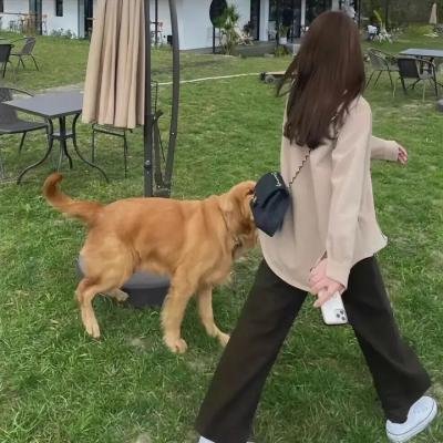 30枚银币第一季